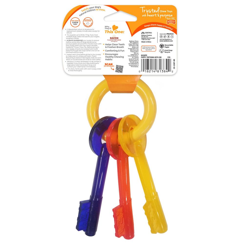 Nylabone Puppy Chew Teething Keys Dog Chew Toy
