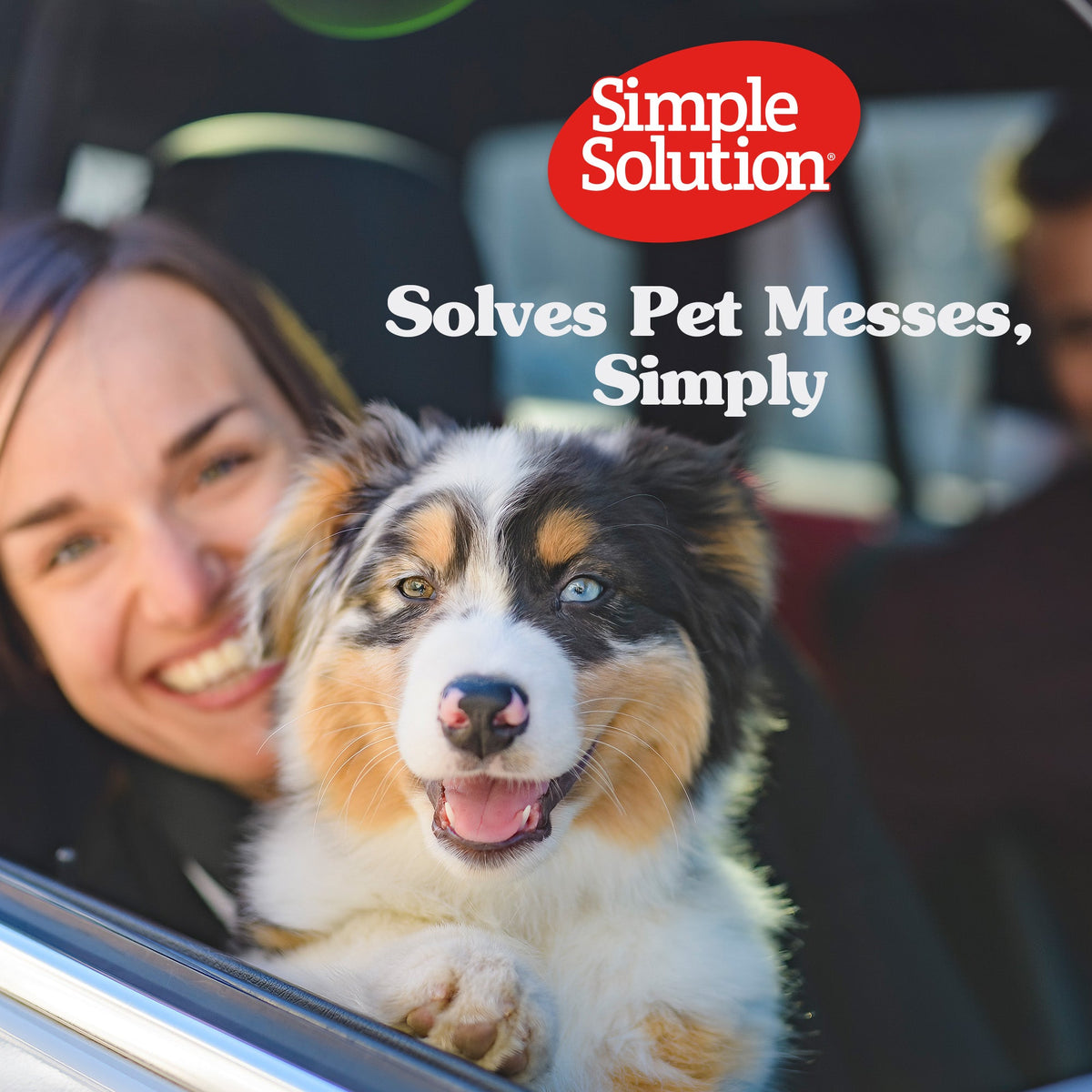 Simple Solution Disposable Female Dog Diaper on dog