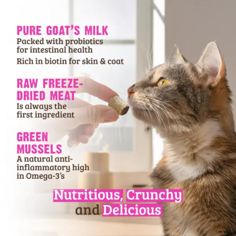 RAWZ Cat FD Venison, Goat Milk & G.Mussels Treat 28g