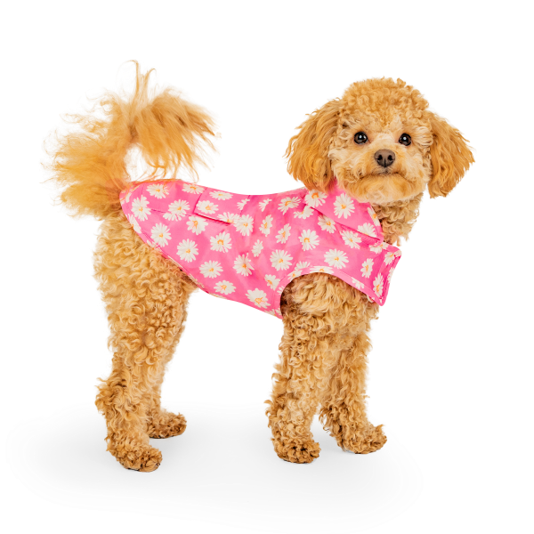 Canada Pooch Pick Me Poncho Daisy