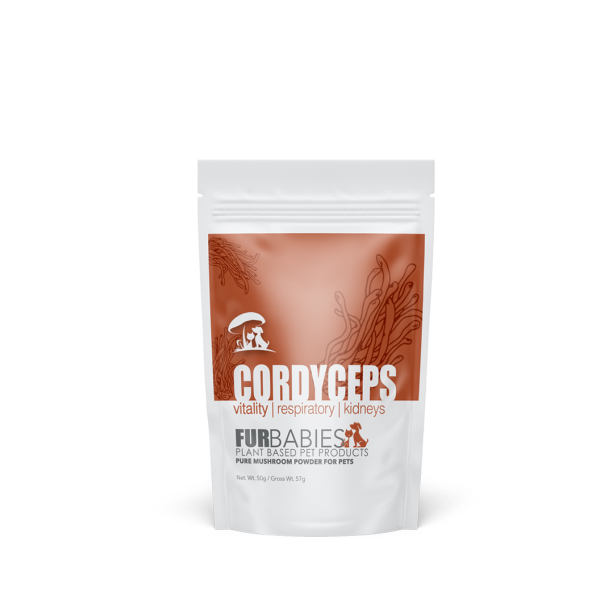 Furbabies Mushroom Powder Cordyceps 50g