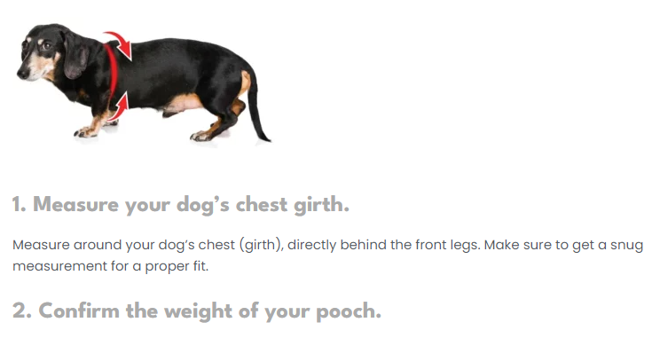 Buddy Belts Permanent Series( With Crystal)