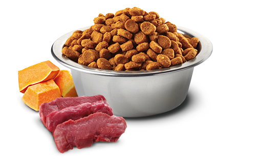 Farmina N&D Pumpkin Venison & Apple Adult Grain-Free Dry Cat Food – in bowl