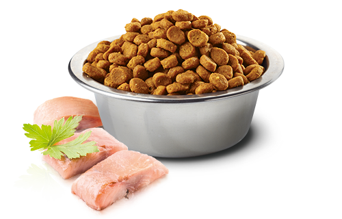 Farmina N&D Ocean Herring & Orange Adult Grain-Free Dry Cat Food – in bowl