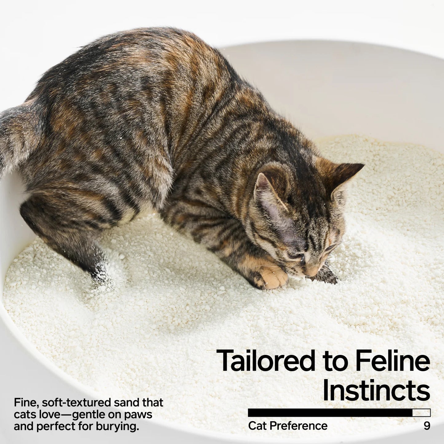 Pidan Cassava Cat Litter, 2.4 kg per bag