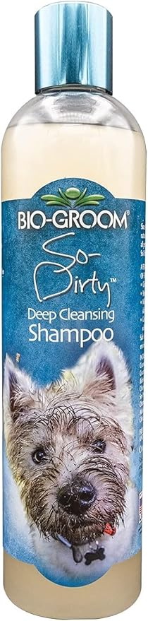 BIO-GROOM So Dirty Shampoo 12OZ