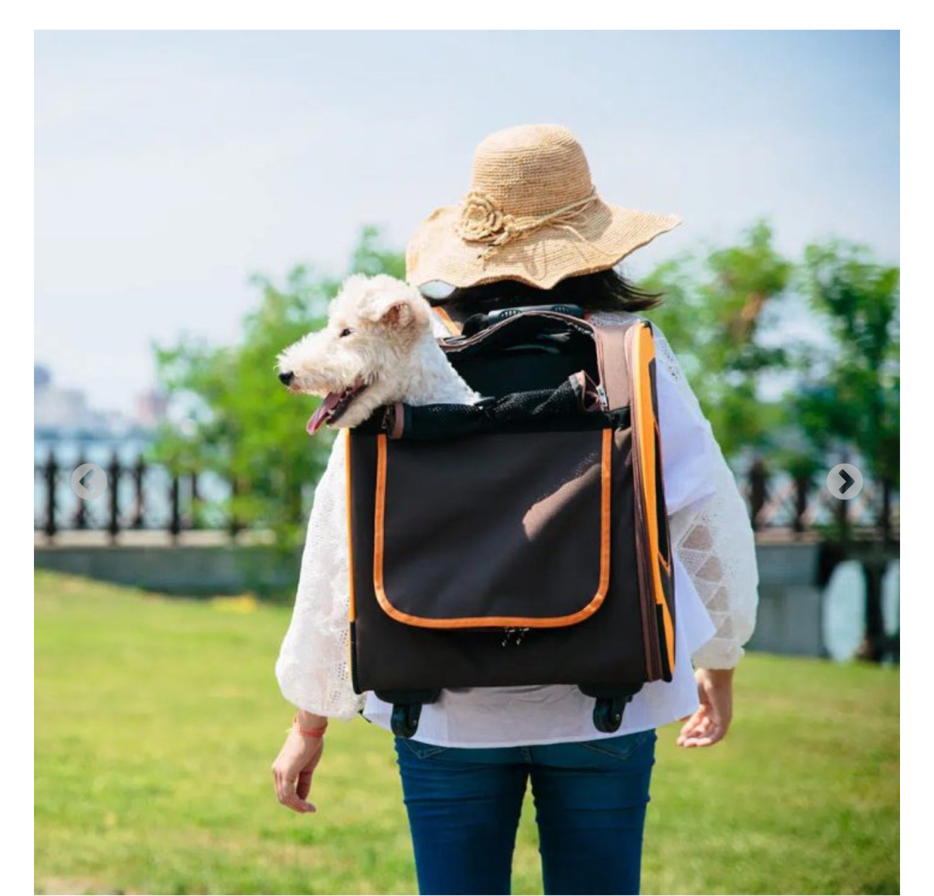 Ibiyaya orange/blown New Liso Backpack Parallel Transport Pet Trolley 1705