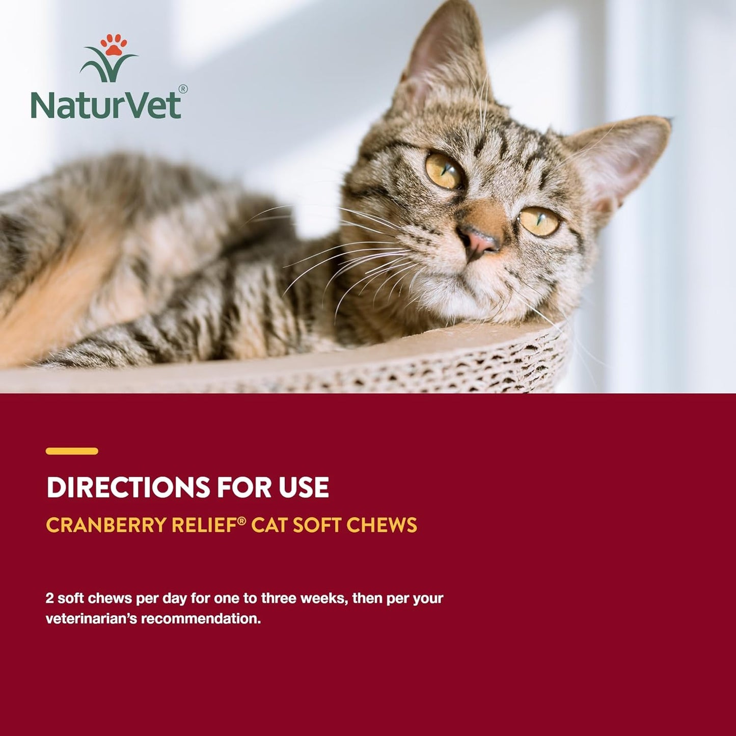 NATURVET Soft Chew Cranberry Relief 60CT | Cat
