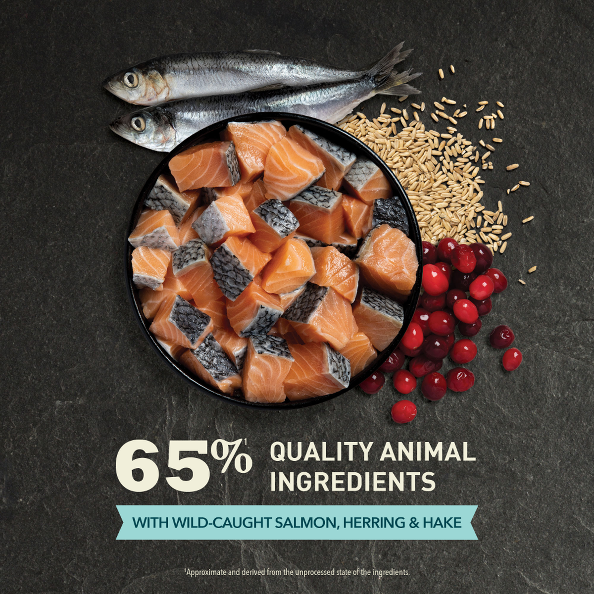 ACANA Bountiful Catch Dry Cat Food – official product image 3