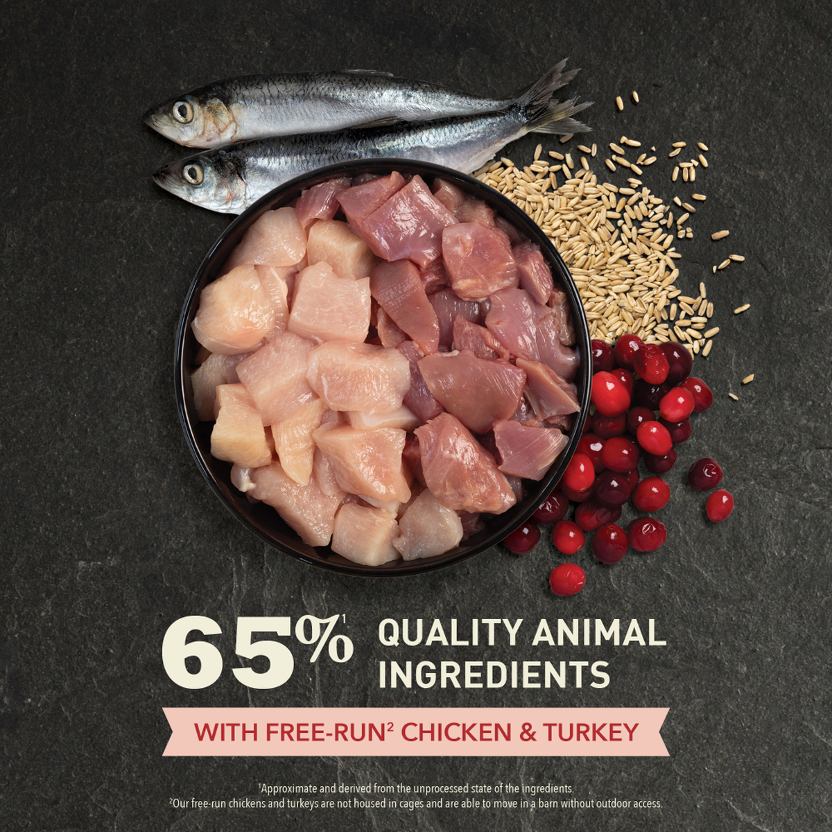ACANA Indoor Entrée Dry Cat Food – official product image 3
