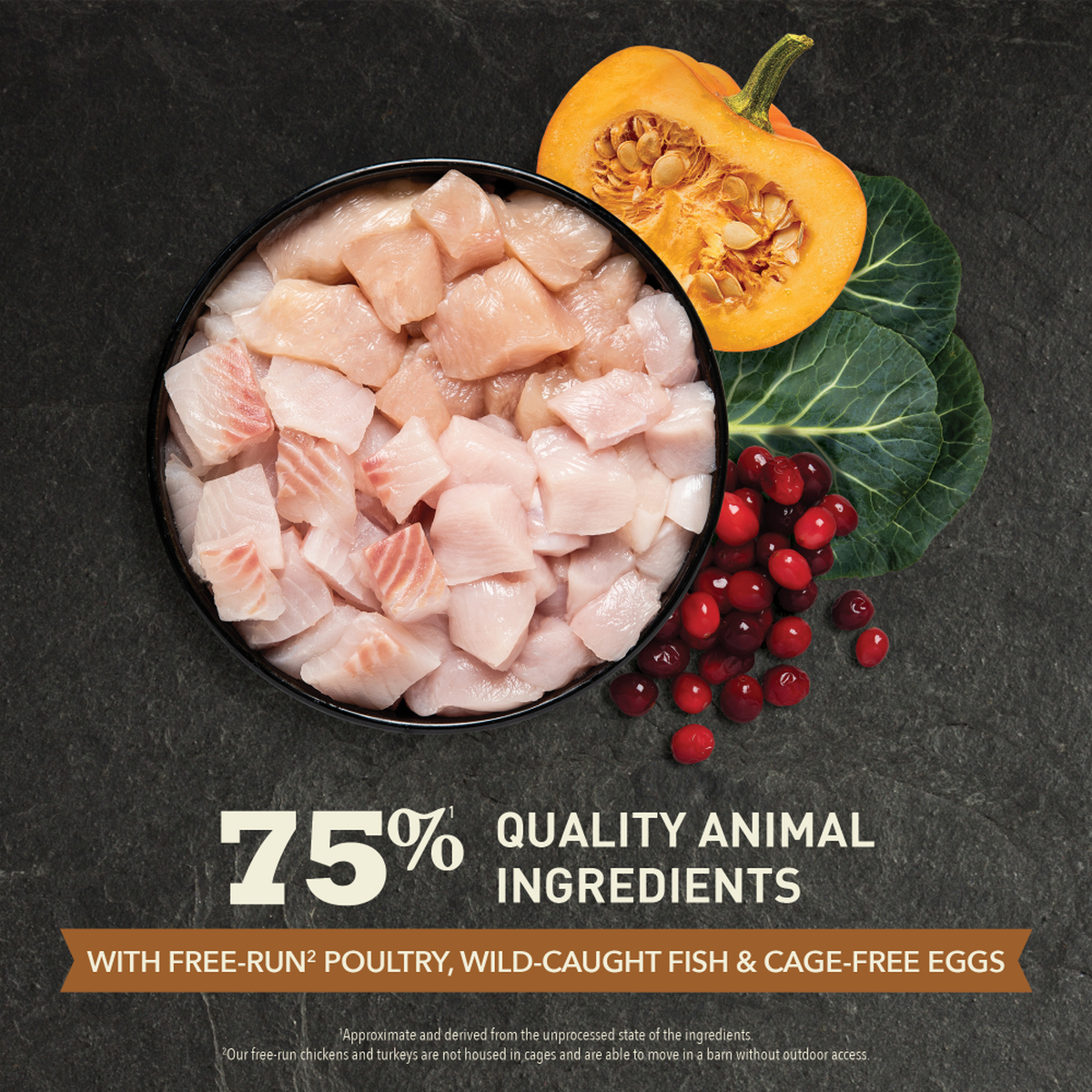 ACANA Highest Protein Wild Prairie Dry Cat Food – official product image 3