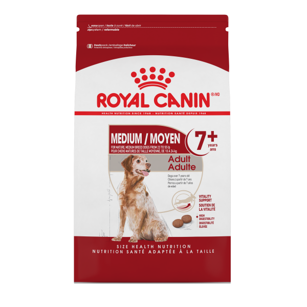 RC SHN Medium Adult