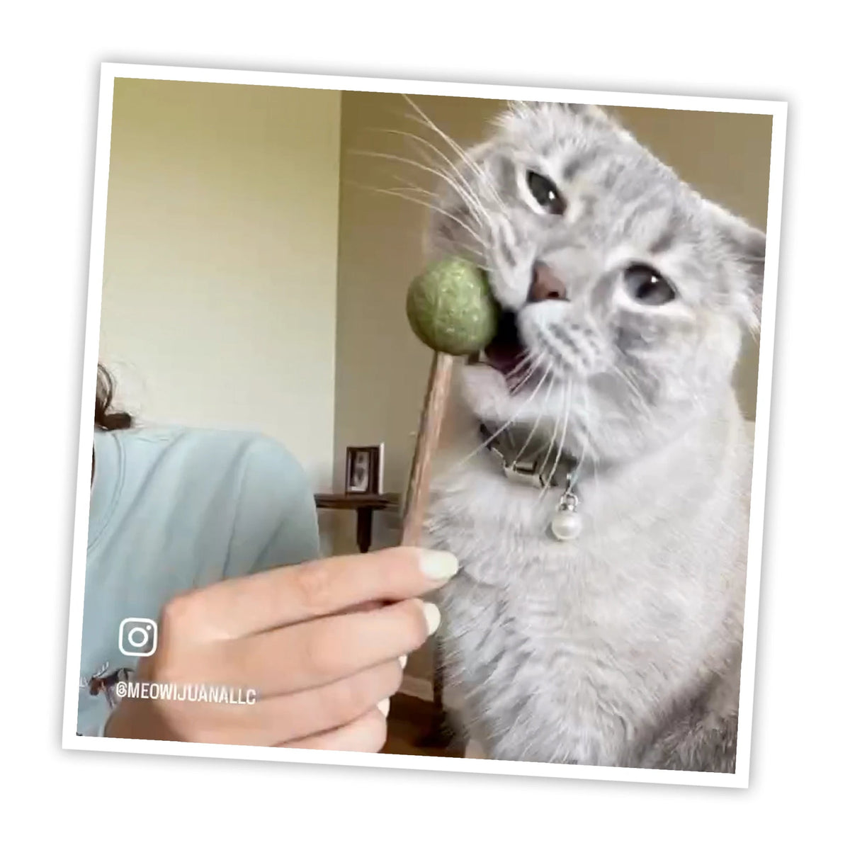 Meowijuana Lollies details