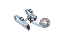 Pidan Cat Harness and Leash Set
