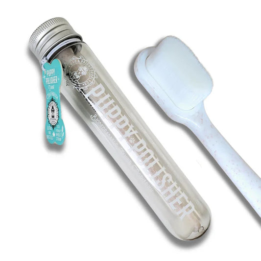 Wag & Bright Puppy Polisher Eco Toothbrush (regular/medium)