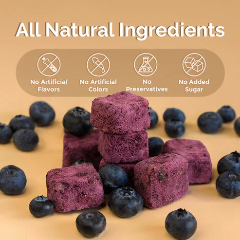 Loopy Paws Crispy Goat Yogurt blueberry