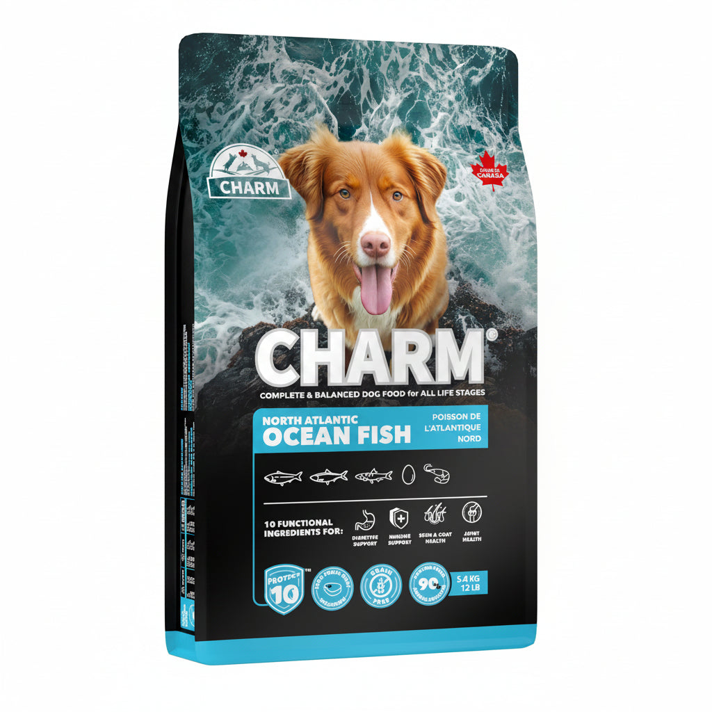 25% OFF EXP DEC 2026 - CHARM North Atlantic Ocean Fish Grain-Free Dry Dog Food