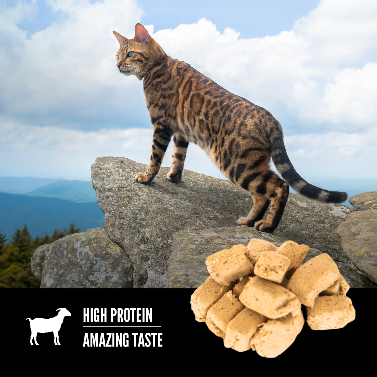 ORIJEN Tundra freeze-dried cat treats