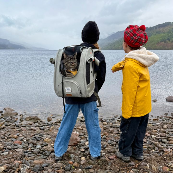 Adventure Cat Carrier Backpack with Window, Large Airline-Approved Cat Bag for Hiking & Travel