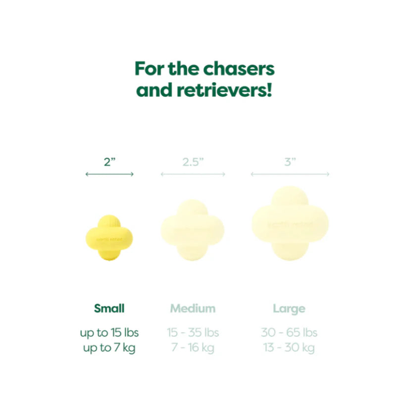 EARTH RATED Rubber Fetch Toy Yellow Medium