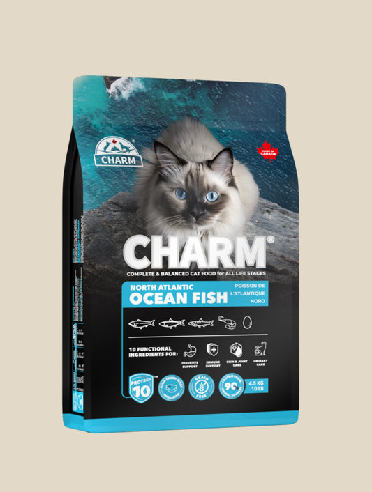 Charm ocean fish cat