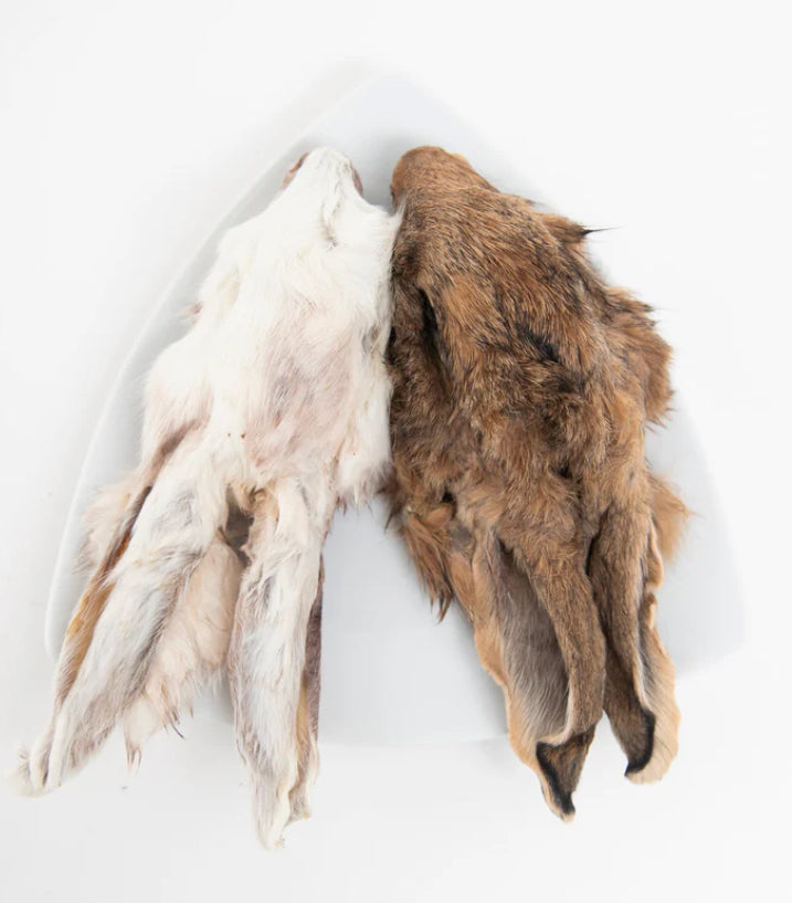 Grand Valley Dehydrated Rabbit Head 140g