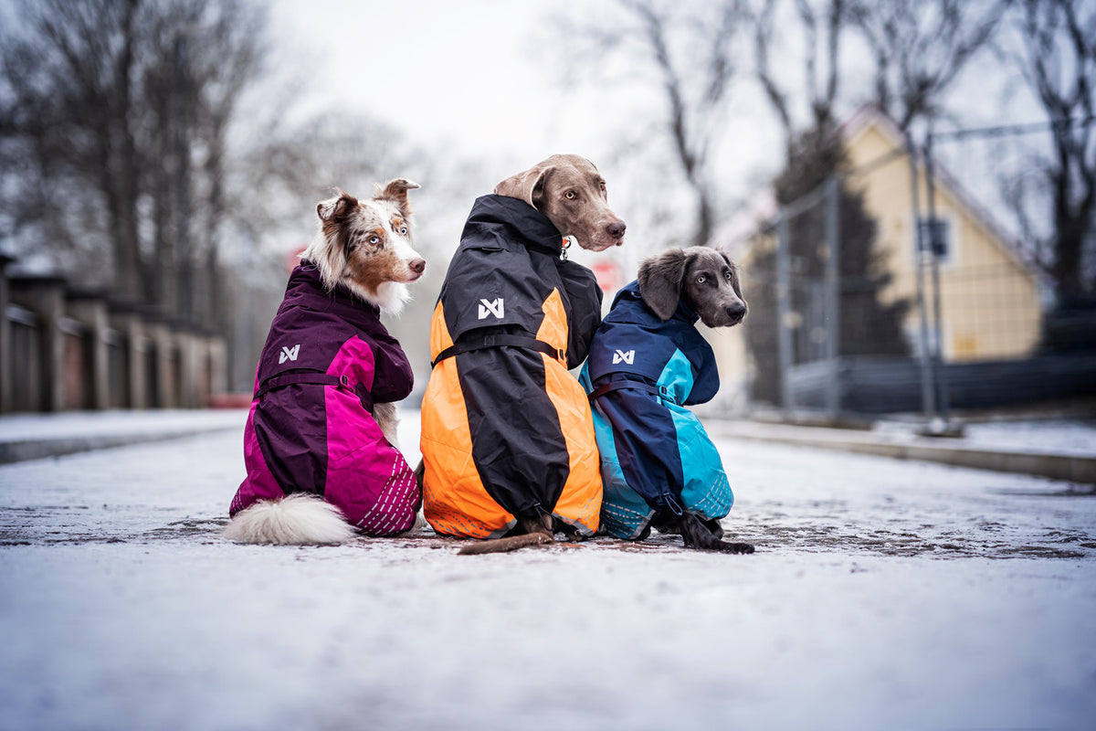 Non-stop dogwear Glacier Jacket 2.0 – Navy/Teal/Red