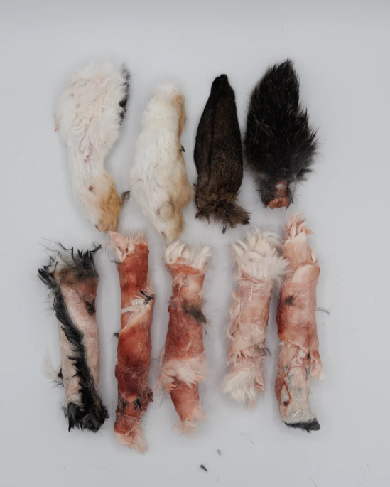 Sender to the summit freeze dried rabbit snack pack