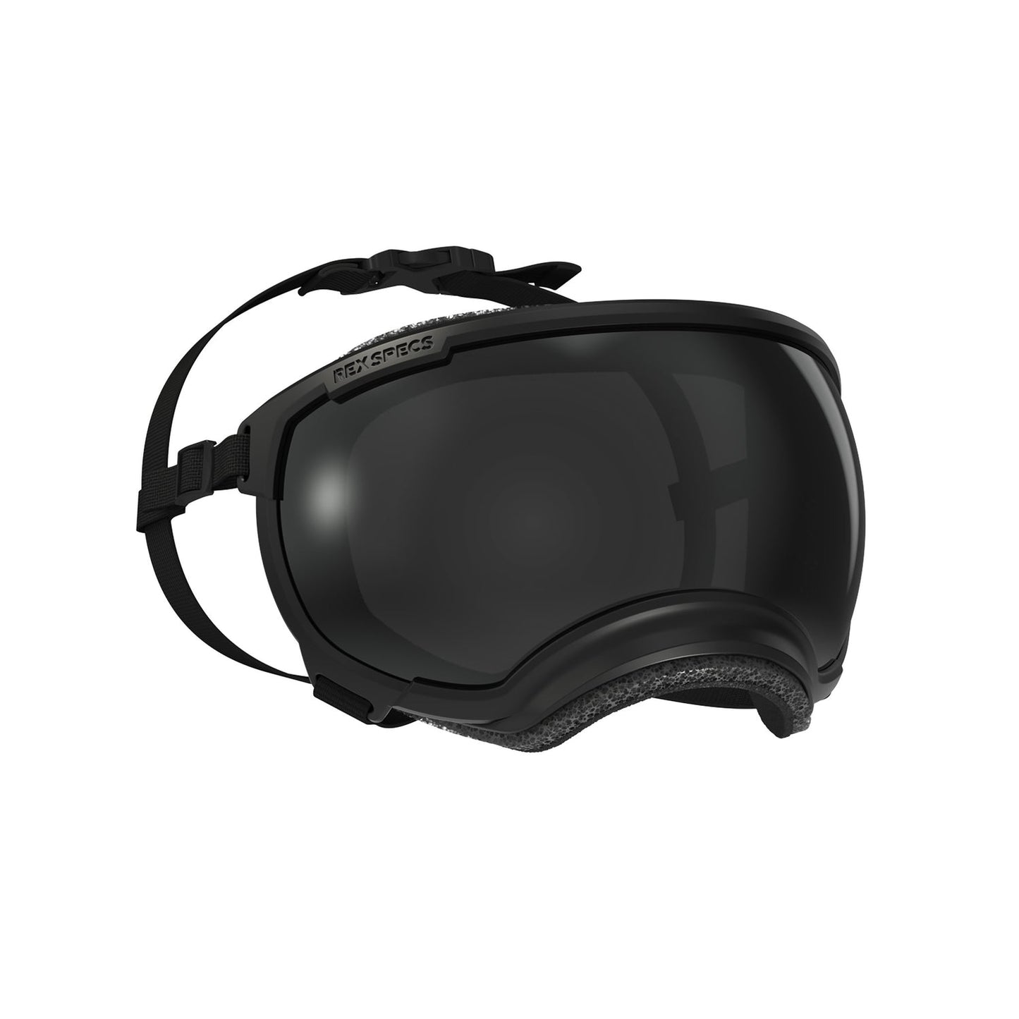 Rex Spec_xs