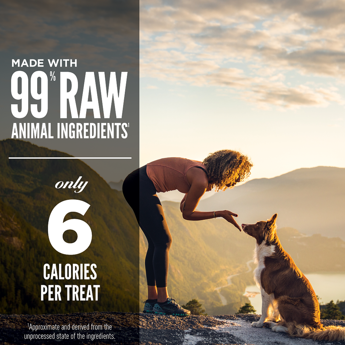 ORIJEN Regional Red freeze-dried dog treats – 99% animal ingredients