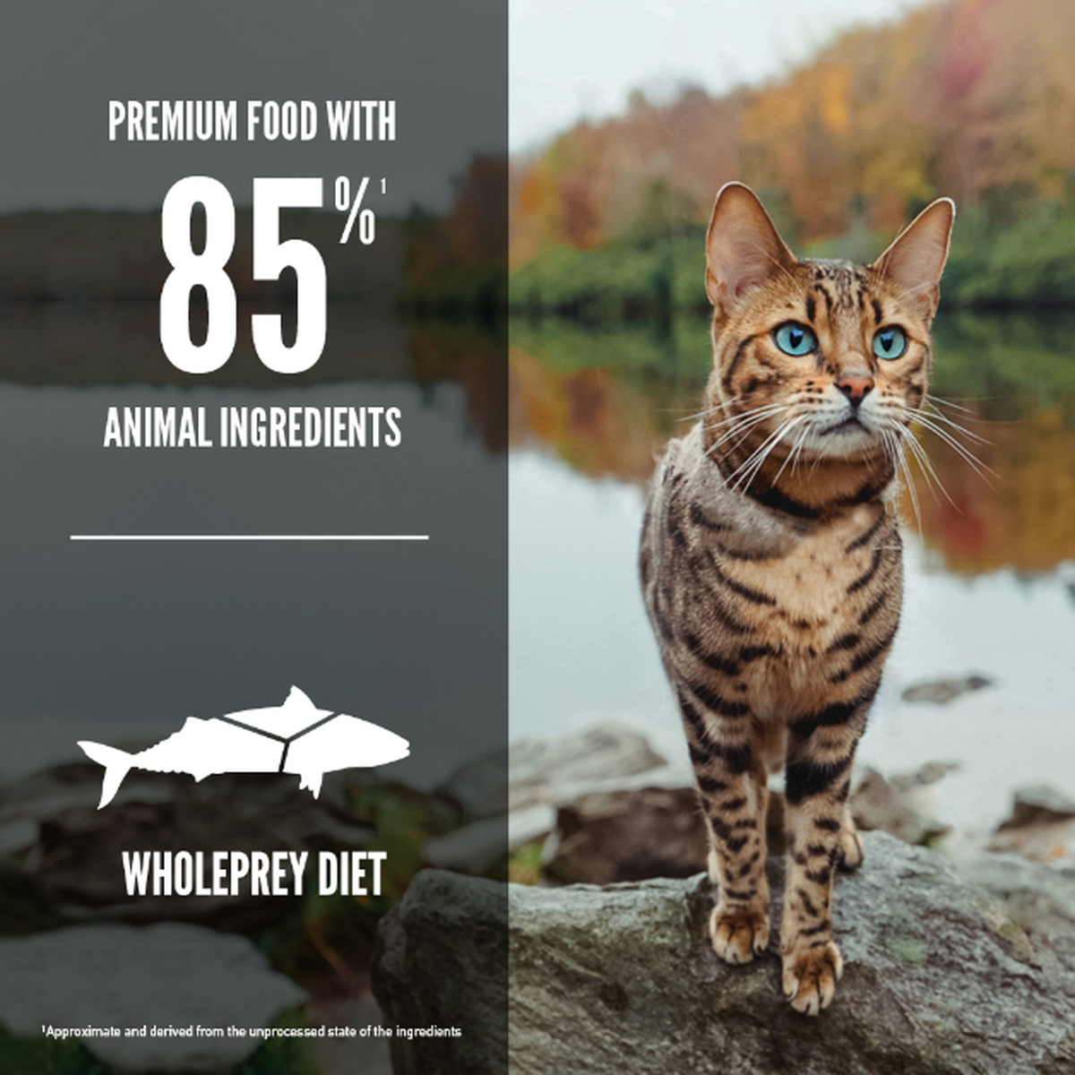 ORIJEN Six Fish Dry Cat Food – official product image 3