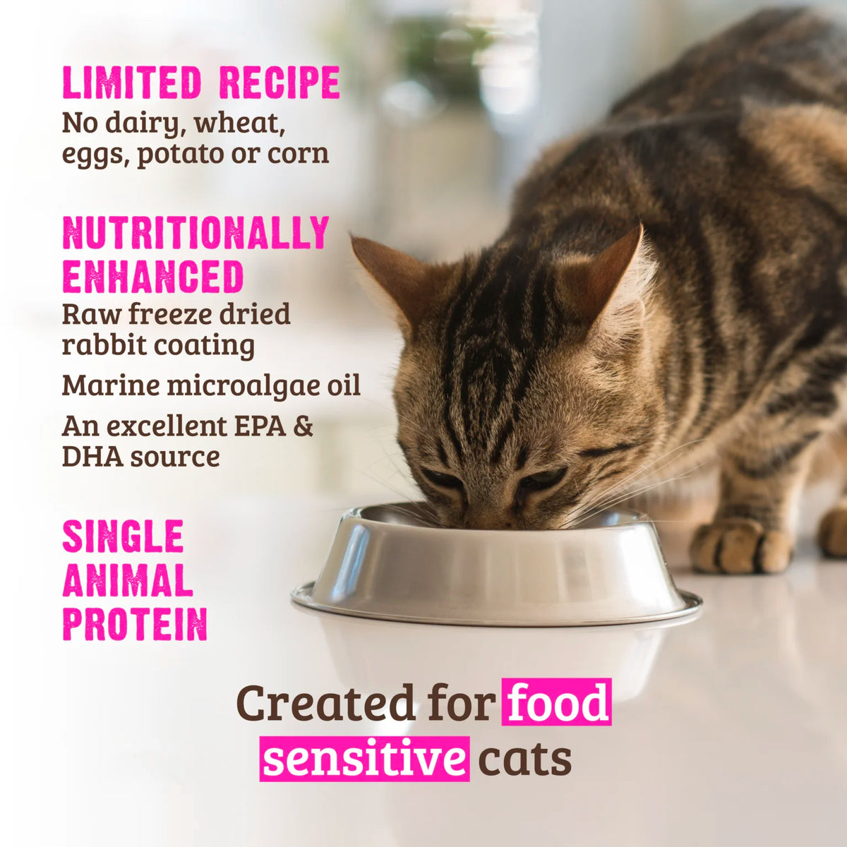 RAWZ Real Rabbit Dry Cat Food – lifestyle
