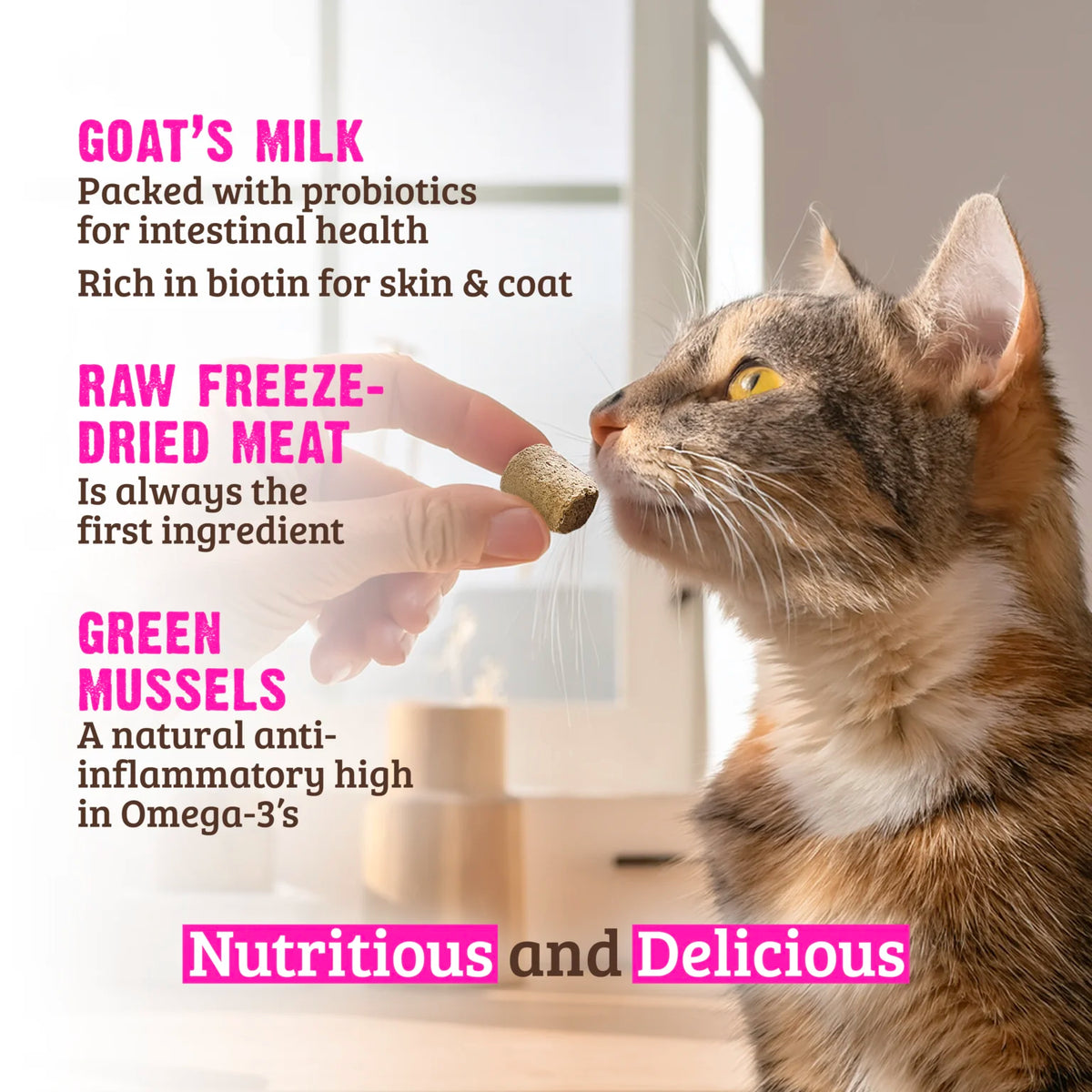 RAWZ Raw Freeze-Dried Venison, Goat's Milk & Green Mussels Cat Treats – lifestyle