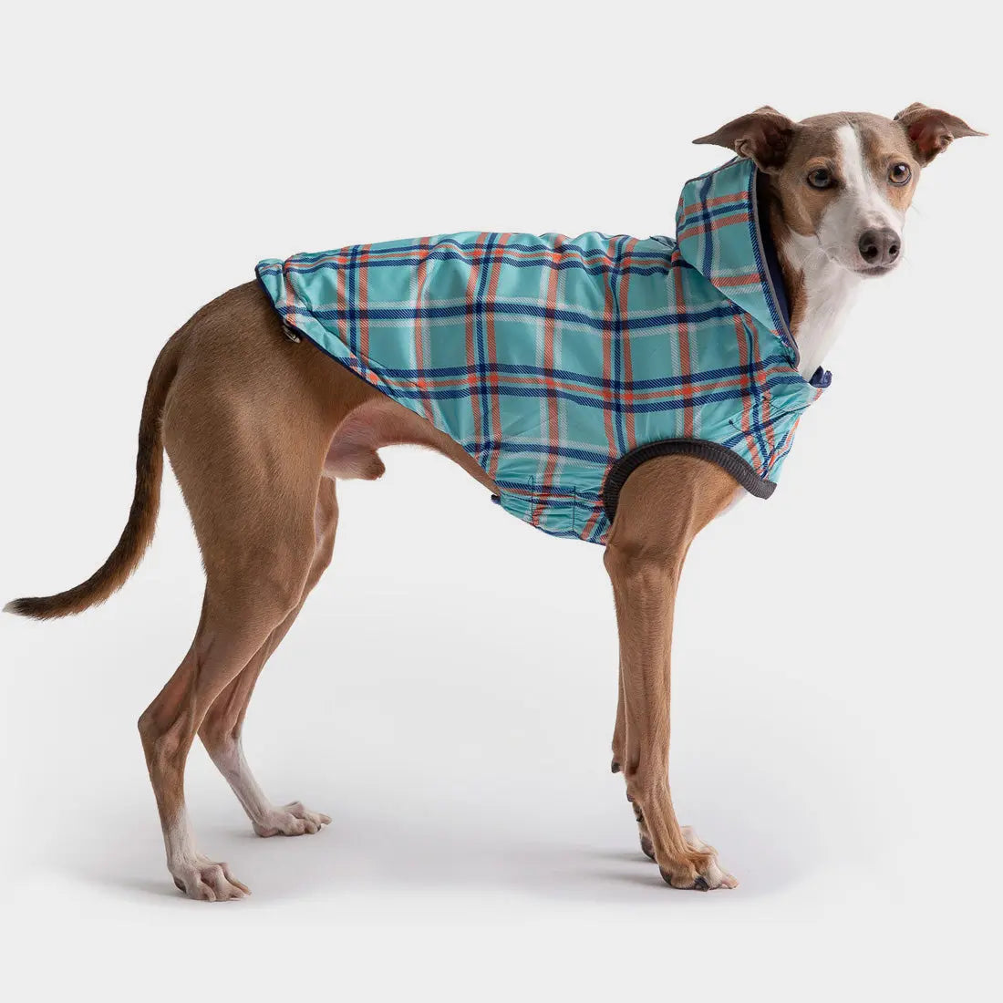 GF Pet Reversible Dog Raincoat Navy