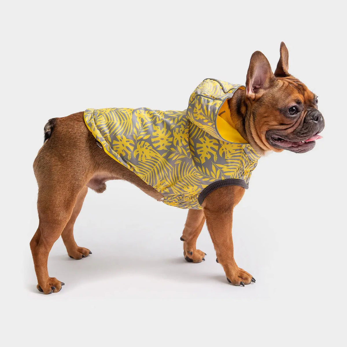 GF Pet Reversible Dog Raincoat Yellow