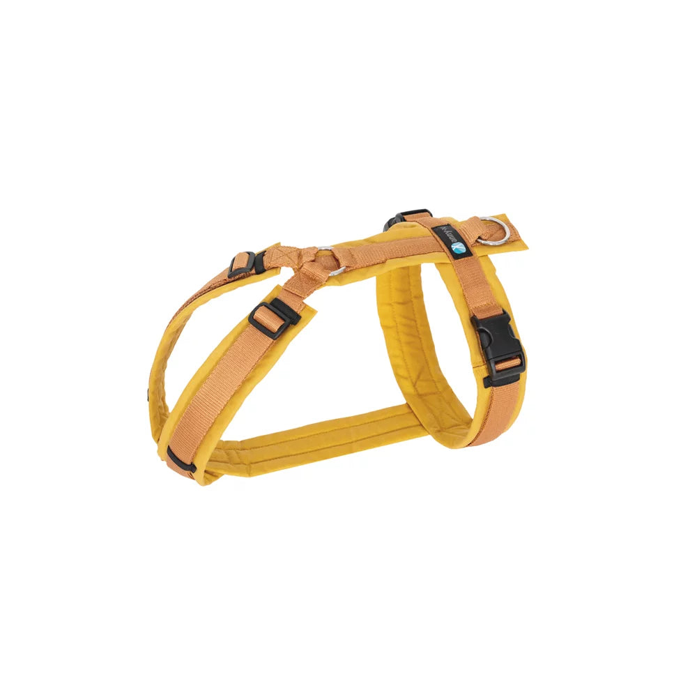 annyx Harness Fun Forsythia
