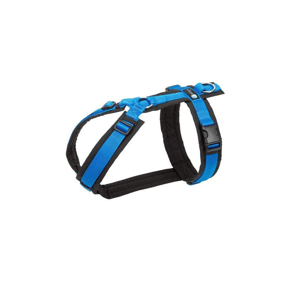 annyx Harness Fun black/Blue