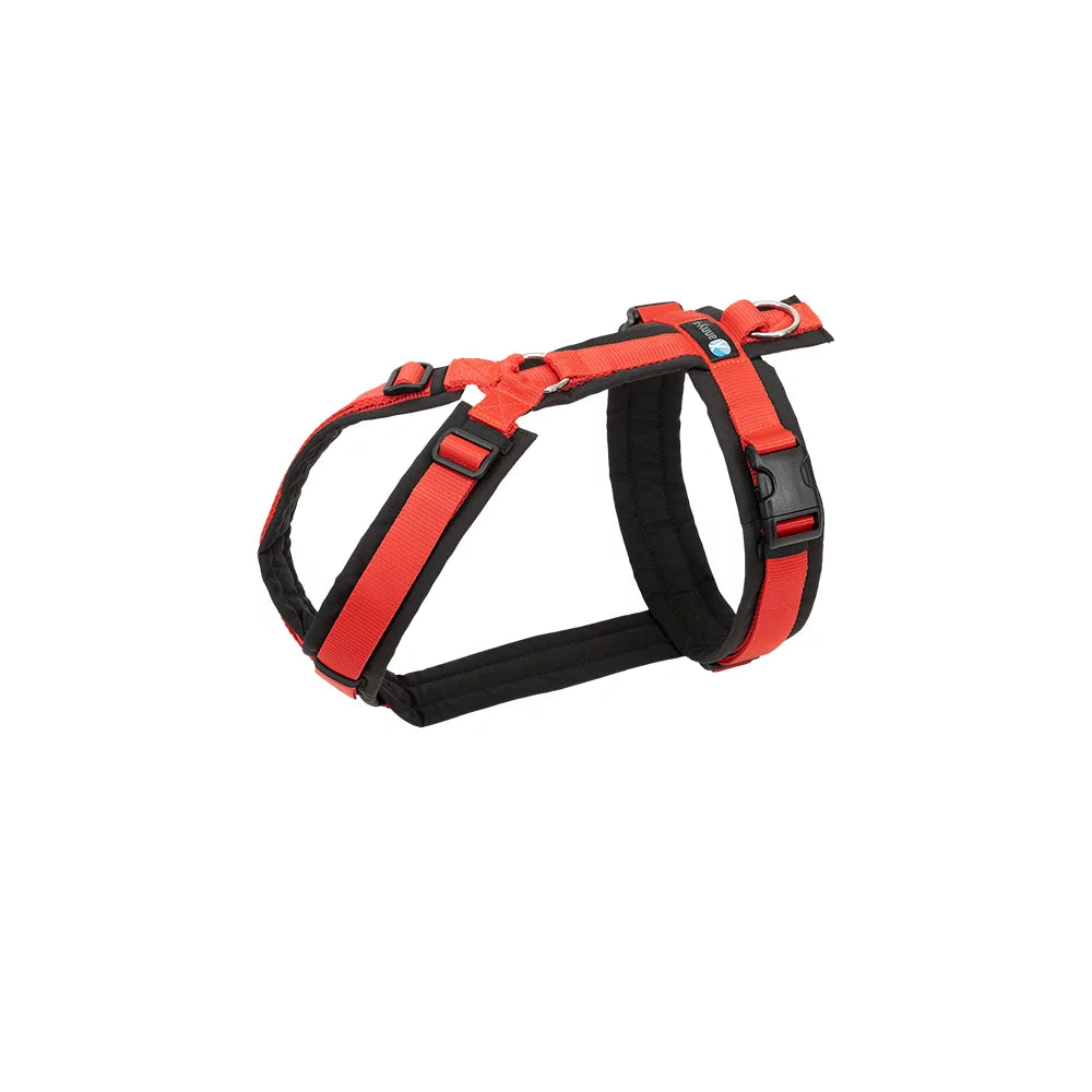 annyx Harness Fun black/Red