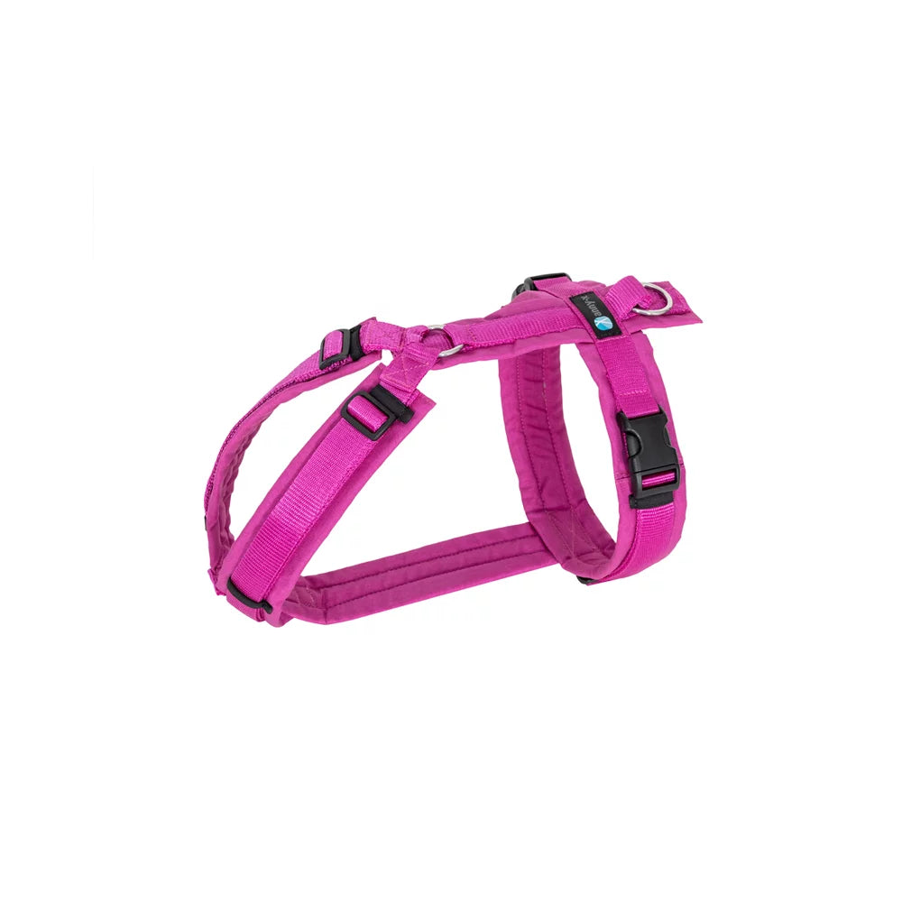 annyx Harness Fun Echinacea