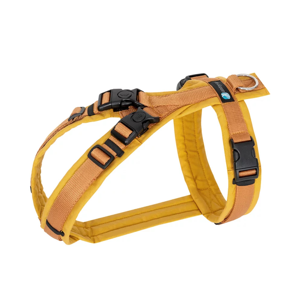 annyx Harness Open Fun Forsythia