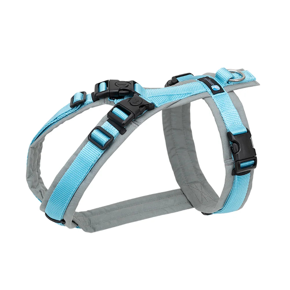 annyx Harness Open Fun grey/Iceblue