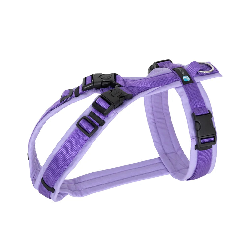 annyx Harness Open Fun Lavender