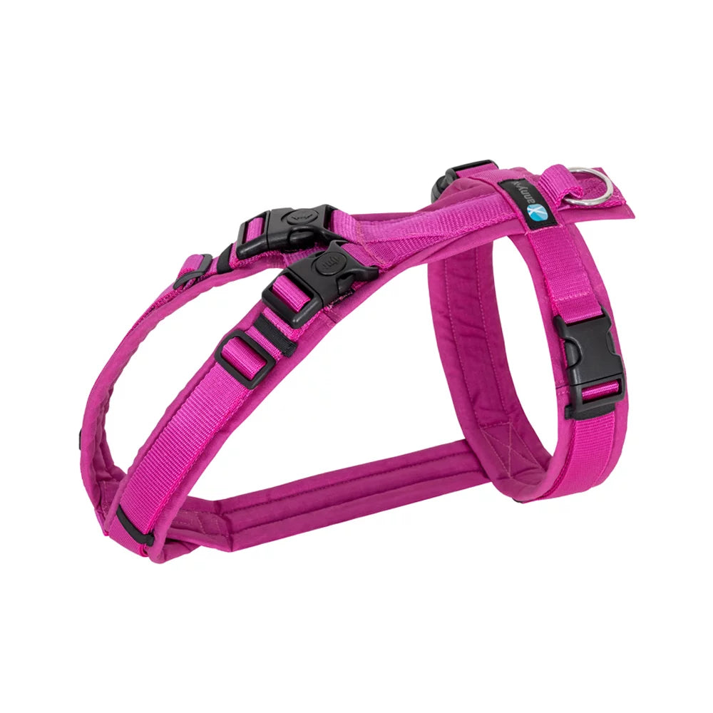 annyx Harness Open Fun Echinacea