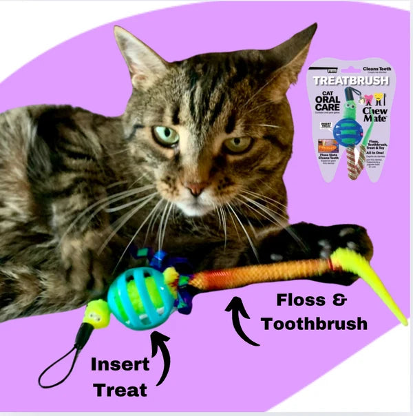 Chew Mate Cat Oral Care Floss & Treat Toothbrush Toy