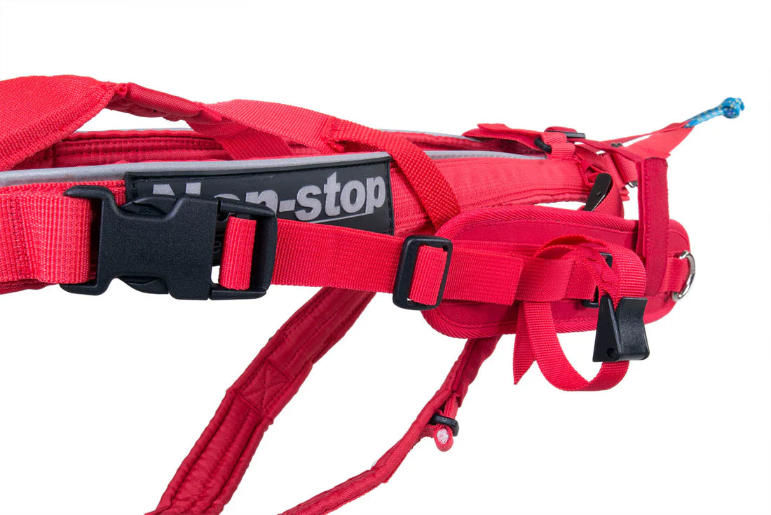 Non-stop dogwear Combined Harness – Pre-order
