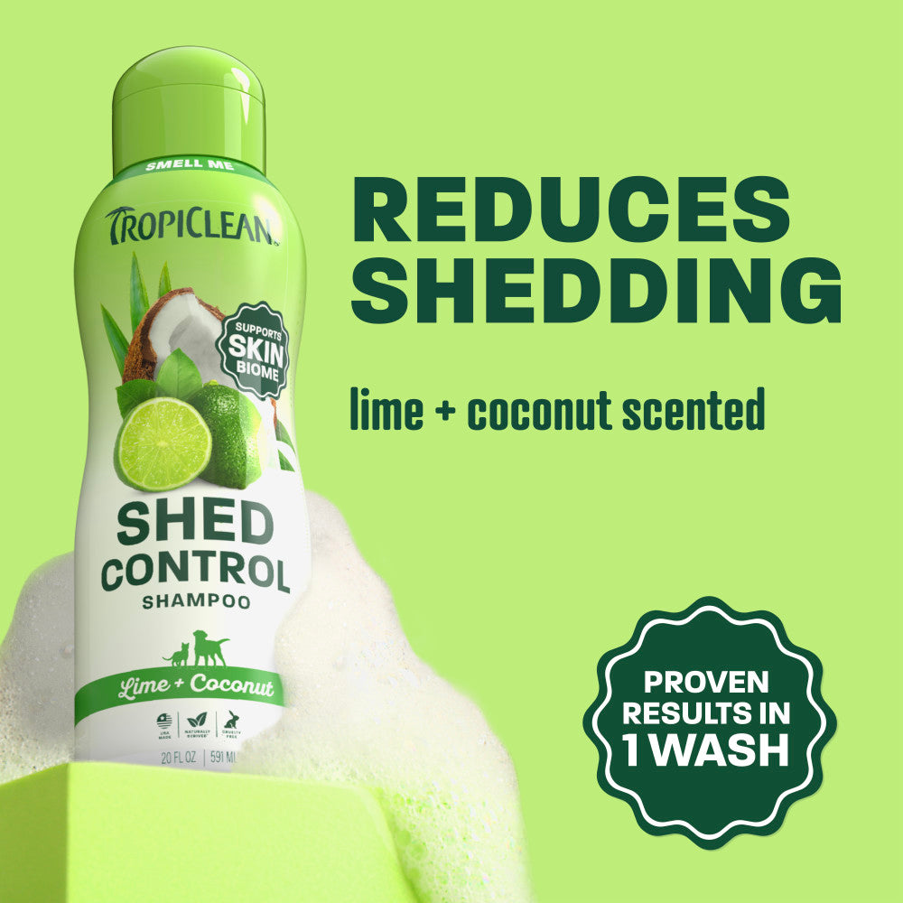 TropiClean Lime & Coconut Shed Control Shampoo for Dogs & Cats – lifestyle image