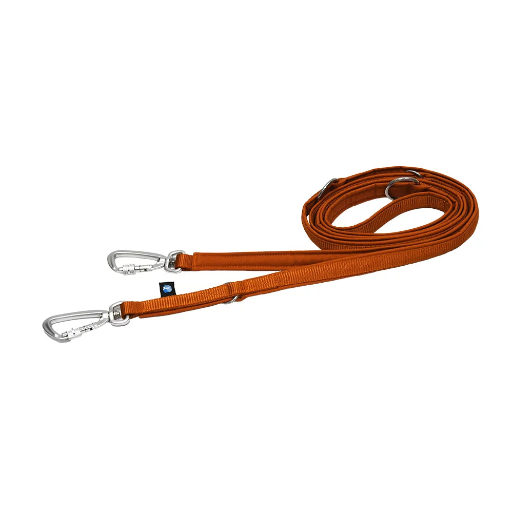 annyx Leash Safety Fun