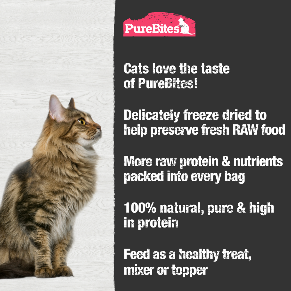 PureBites Freeze-Dried Shrimp Cat Treats – 23 g (0.8 oz) – official PureBites image 3