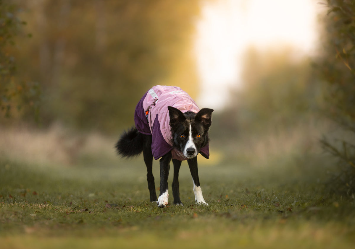 Non-stop dogwear Glacier Jacket 3.0 – Mauve