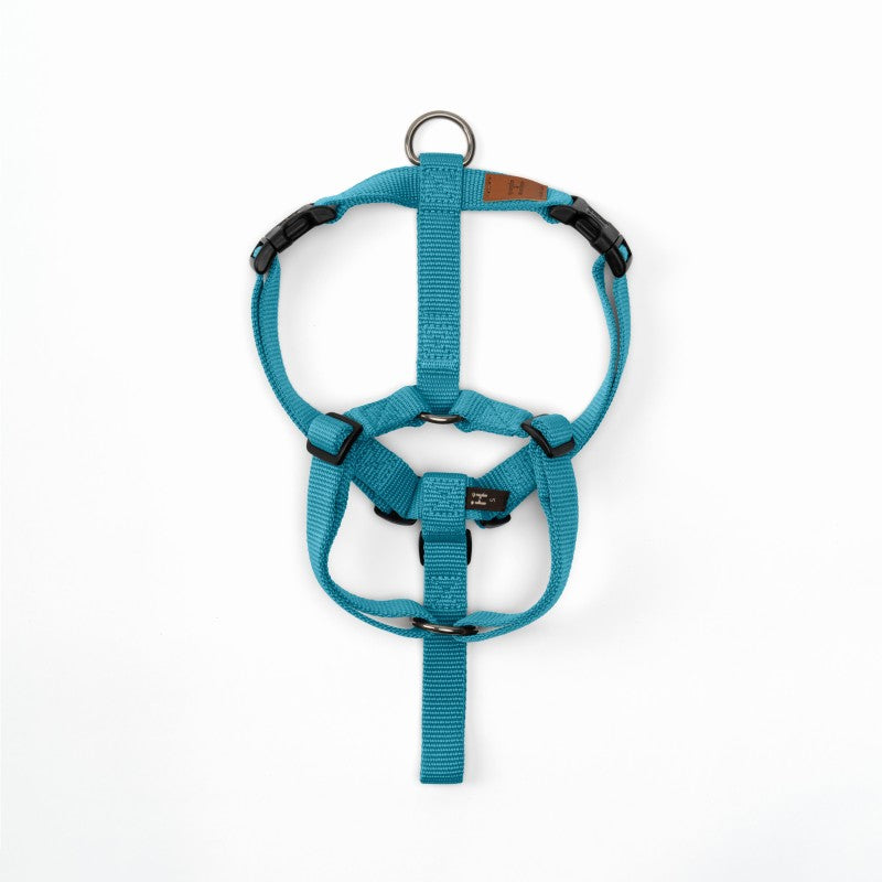 Haqihana H Dog Harness – Artic (official image)